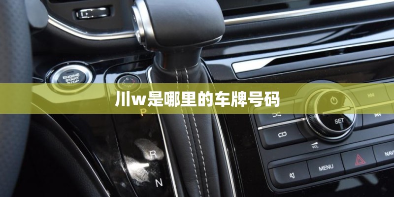 川w是哪里的车牌号码