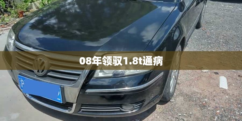 08年领驭1.8t通病