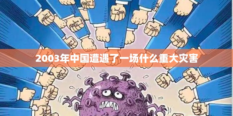 2003年中国遭遇了一场什么重大灾害