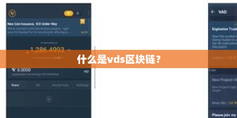 什么是vds区块链？