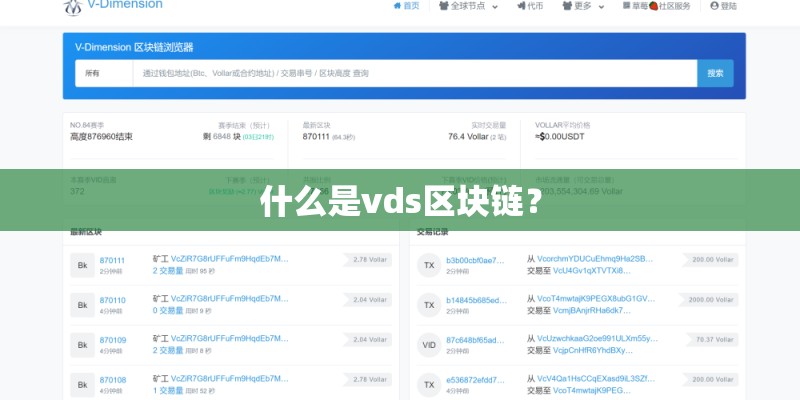 什么是vds区块链？