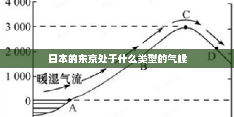 日本的东京处于什么类型的气候