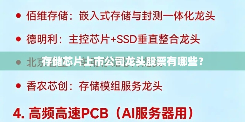 存储芯片上市公司龙头股票有哪些？