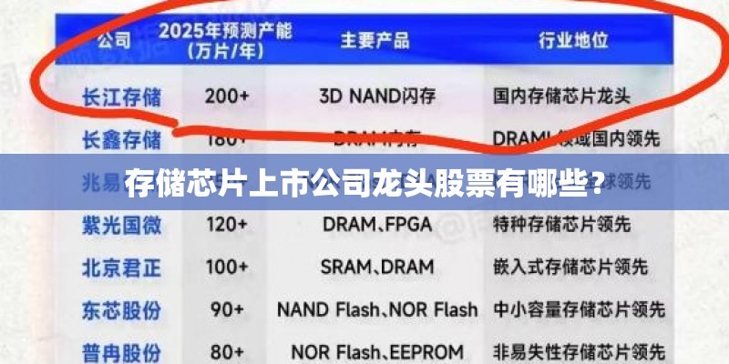 存储芯片上市公司龙头股票有哪些？