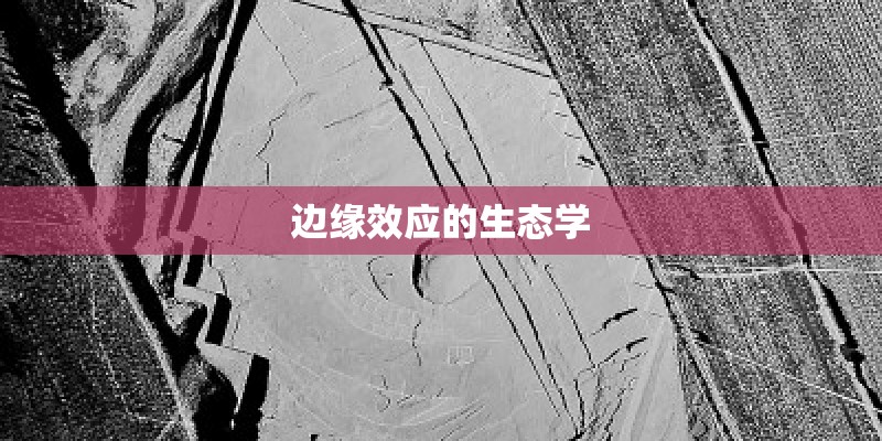 边缘效应的生态学