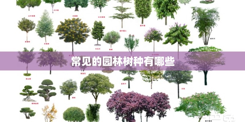常见的园林树种有哪些