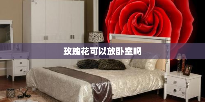 玫瑰花可以放卧室吗