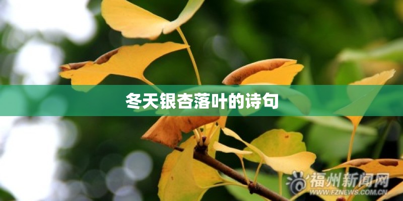 冬天银杏落叶的诗句