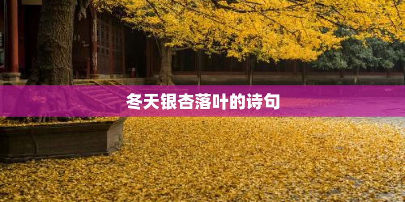 冬天银杏落叶的诗句
