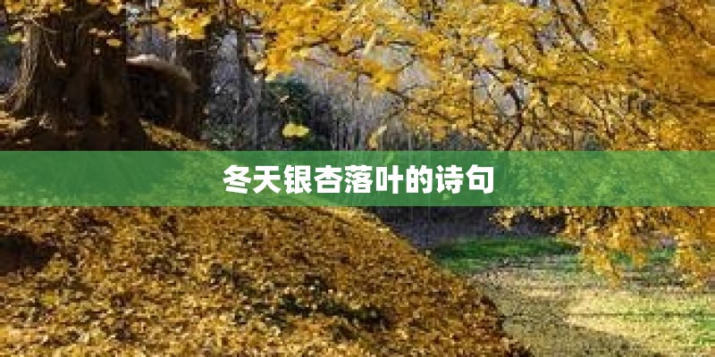 冬天银杏落叶的诗句