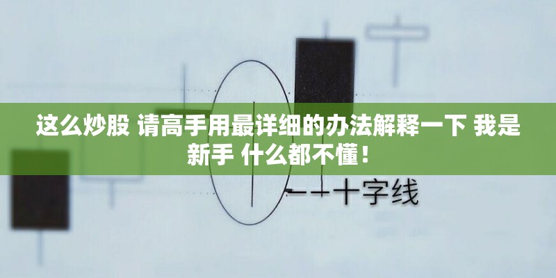 这么炒股 请高手用最详细的办法解释一下 我是新手 什么都不懂！