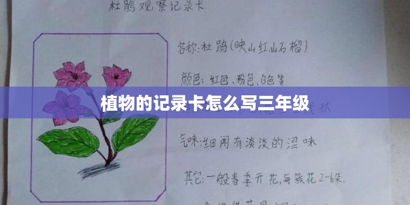 植物的记录卡怎么写三年级