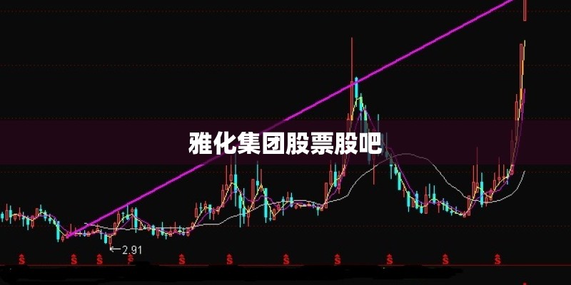 雅化集团股票股吧