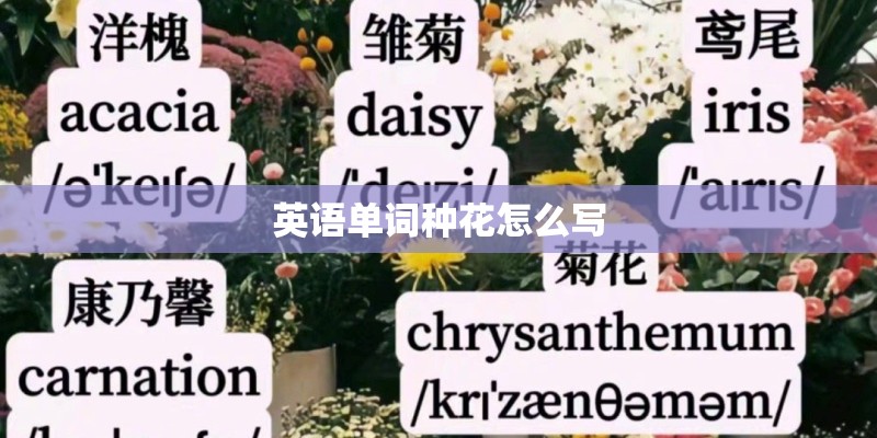 英语单词种花怎么写