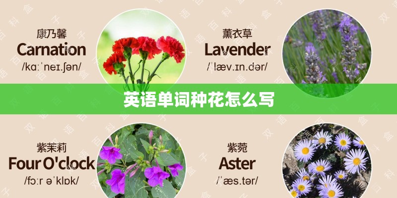 英语单词种花怎么写