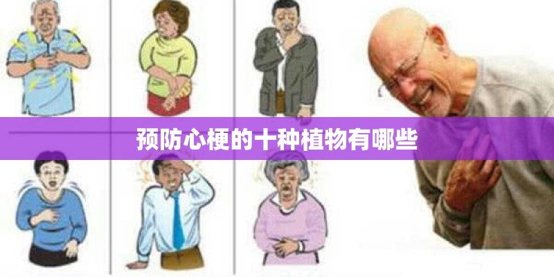 预防心梗的十种植物有哪些