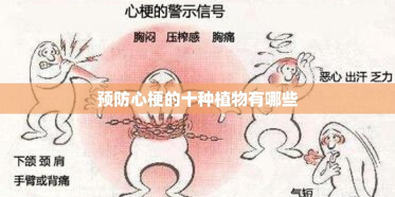 预防心梗的十种植物有哪些