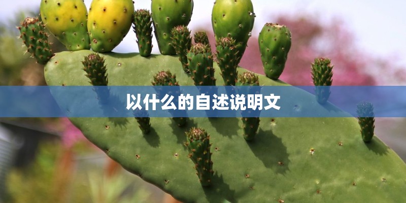 以什么的自述说明文