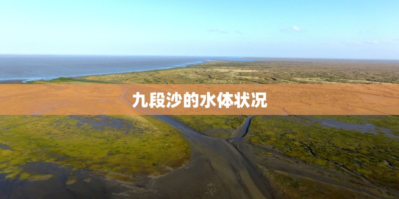 九段沙的水体状况