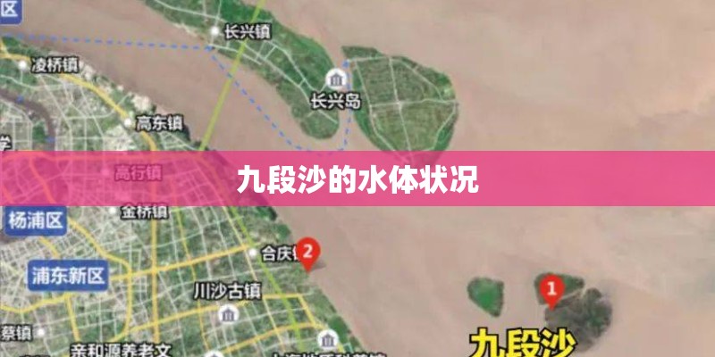 九段沙的水体状况
