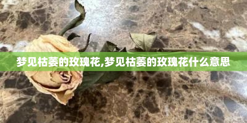 梦见枯萎的玫瑰花,梦见枯萎的玫瑰花什么意思