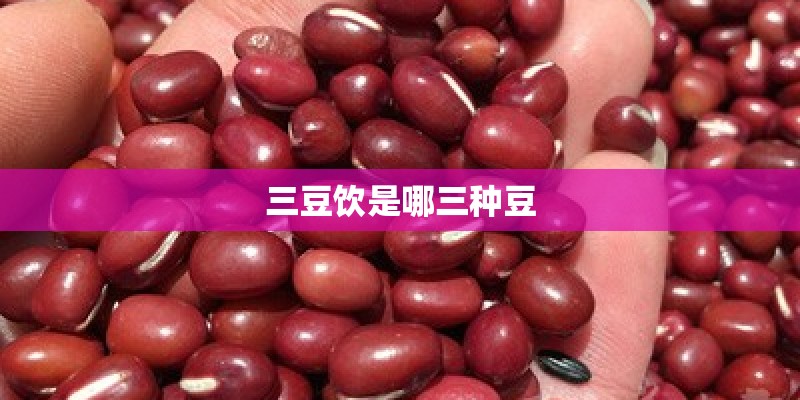 三豆饮是哪三种豆