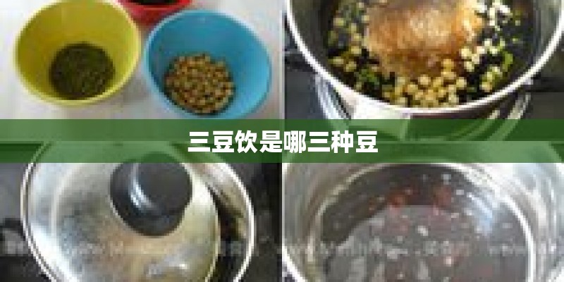 三豆饮是哪三种豆
