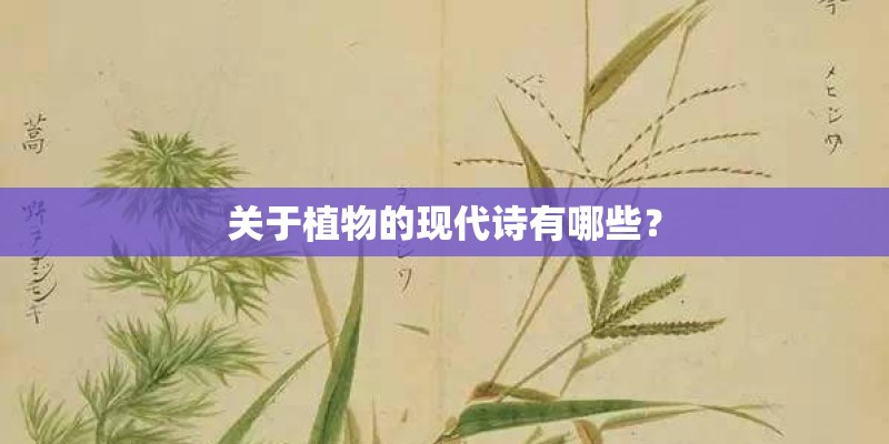 蕙兰五个必养品种