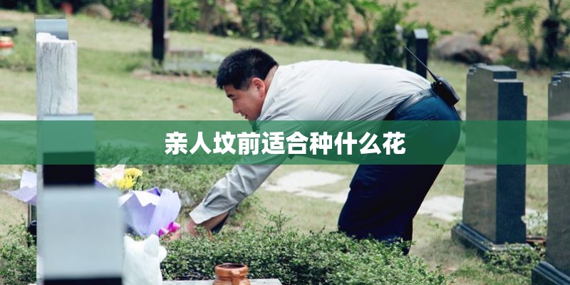 亲人坟前适合种什么花