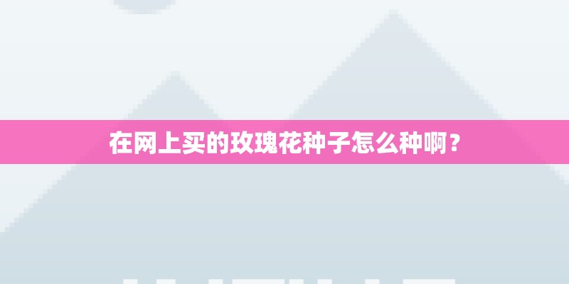 在网上买的玫瑰花种子怎么种啊？