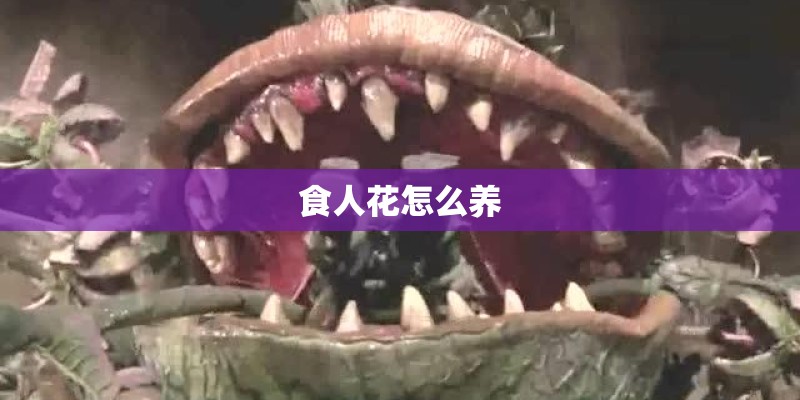 食人花怎么养