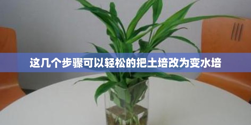 这几个步骤可以轻松的把土培改为变水培