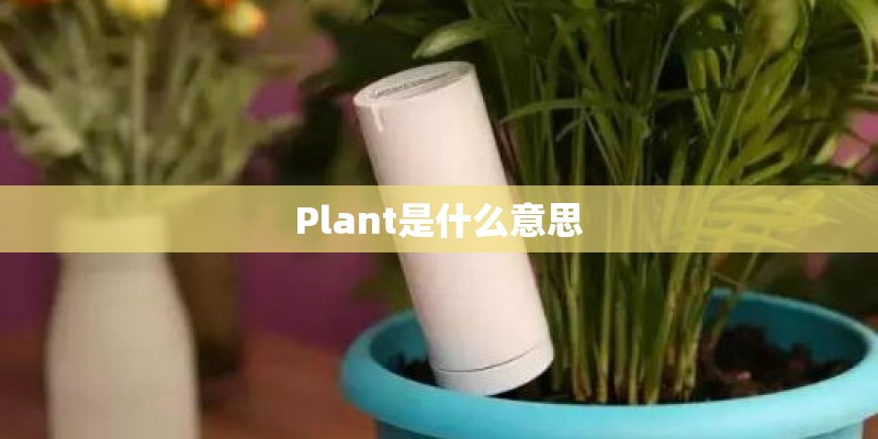 Plant是什么意思