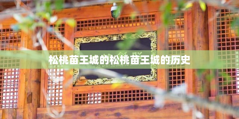 松桃苗王城的松桃苗王城的历史