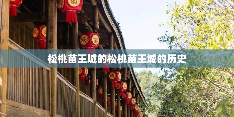 松桃苗王城的松桃苗王城的历史