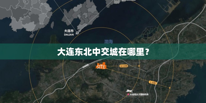 大连东北中交城在哪里？