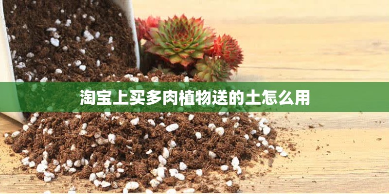 淘宝上买多肉植物送的土怎么用