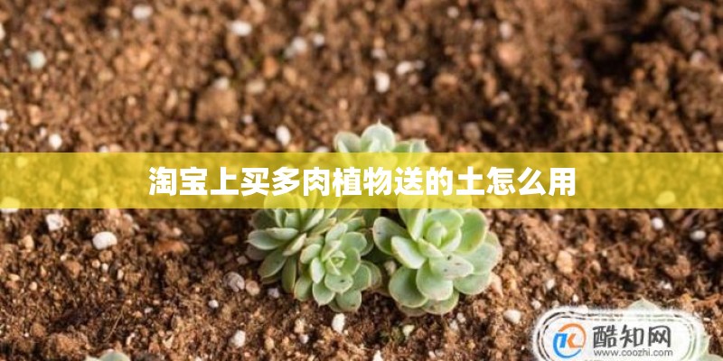 淘宝上买多肉植物送的土怎么用