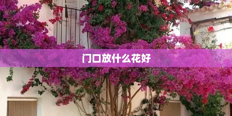 门口放什么花好