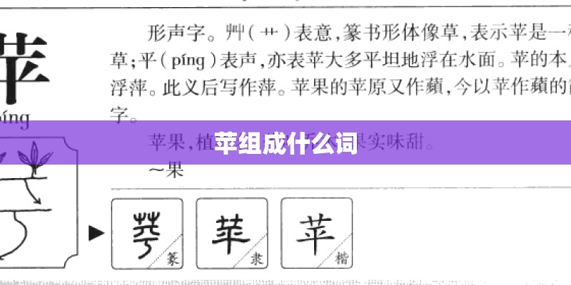 苹组成什么词