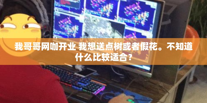 我哥哥网咖开业 我想送点树或者假花。不知道什么比较适合？