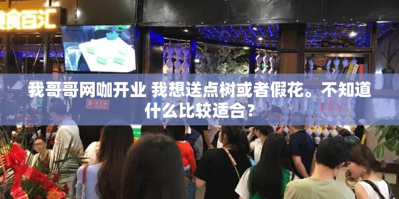 我哥哥网咖开业 我想送点树或者假花。不知道什么比较适合？