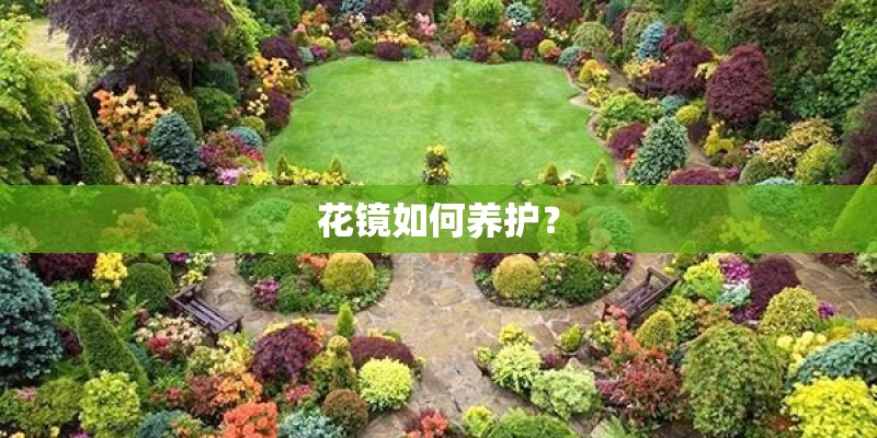 花镜如何养护？