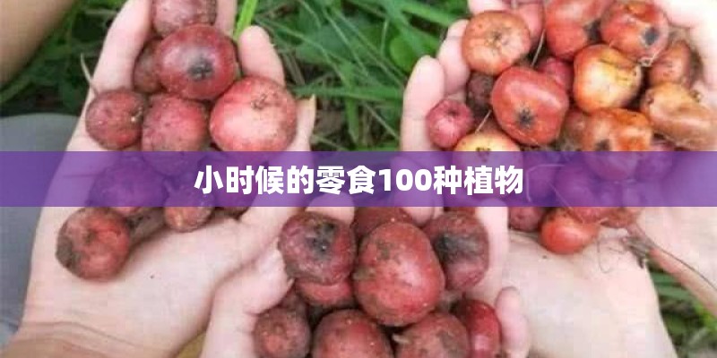 小时候的零食100种植物