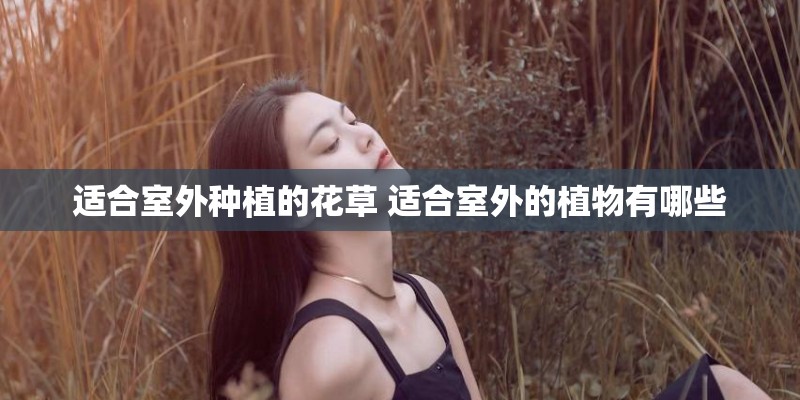 适合室外种植的花草 适合室外的植物有哪些