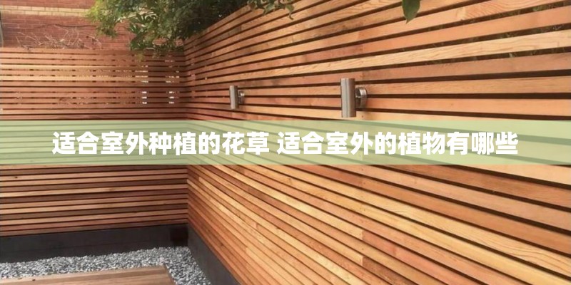 适合室外种植的花草 适合室外的植物有哪些