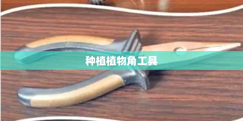 种植植物角工具