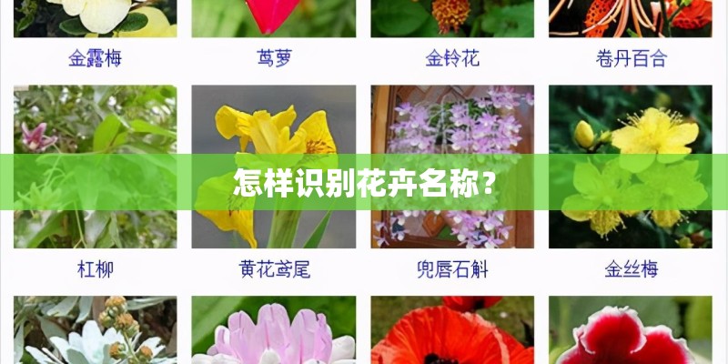 社区幼儿早教活动简报 社区幼儿早教活动简报