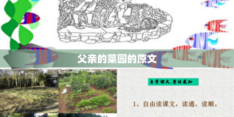 父亲的菜园的原文