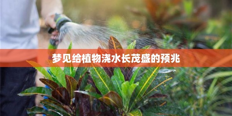 梦见给植物浇水长茂盛的预兆